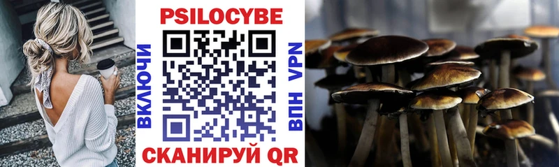 где купить   Зея  Галлюциногенные грибы ЛСД 